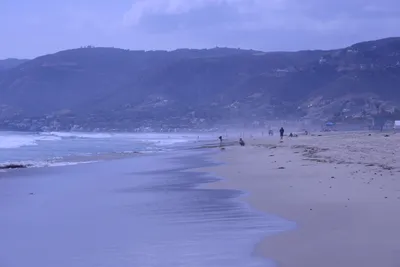 DSC_2118 (Large).JPG